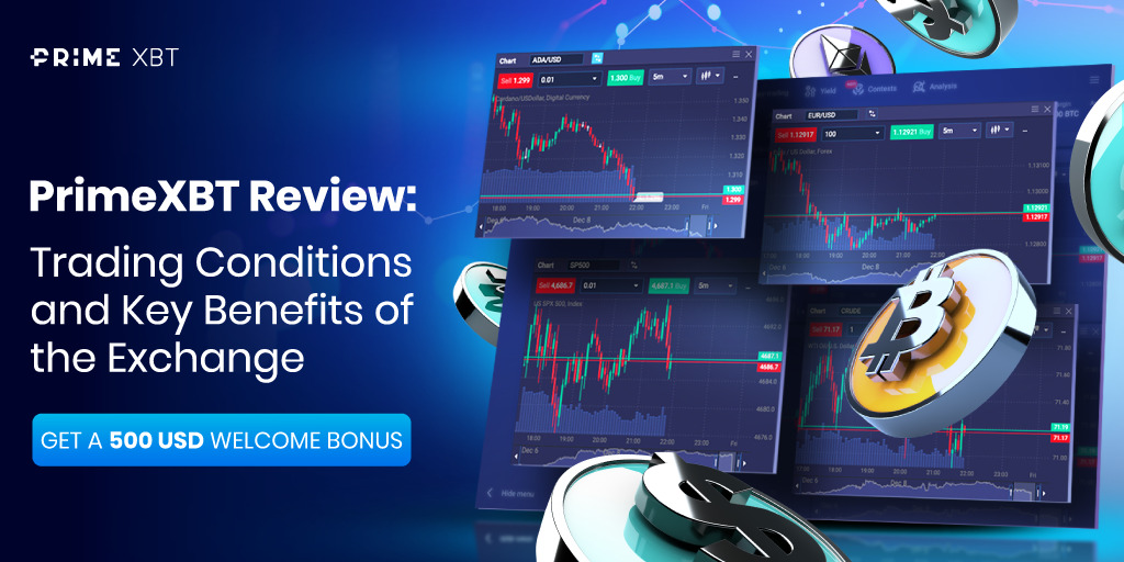 Understanding PrimeXBT Covesting Fees for Optimal Trading Experience